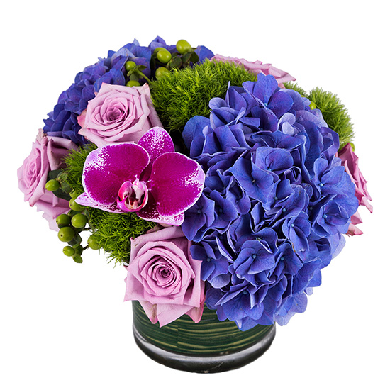 flower shop photo shoot