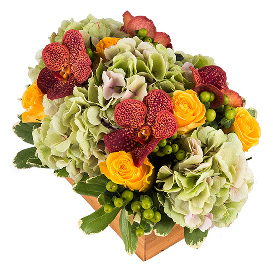 flower shop photo shoot