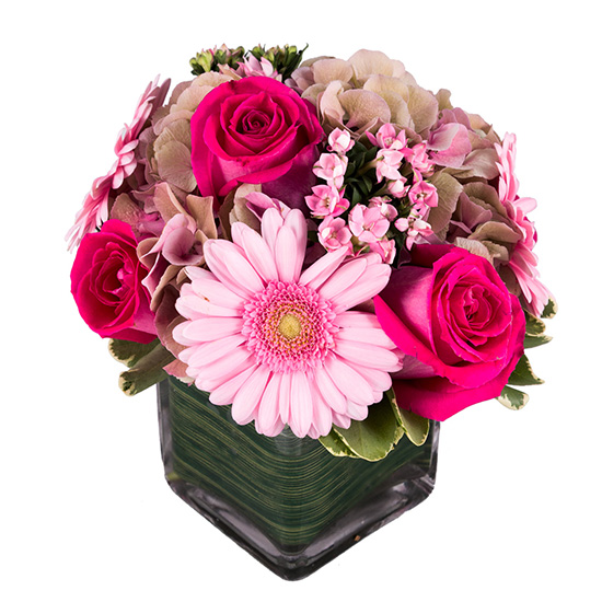 flower shop photo shoot