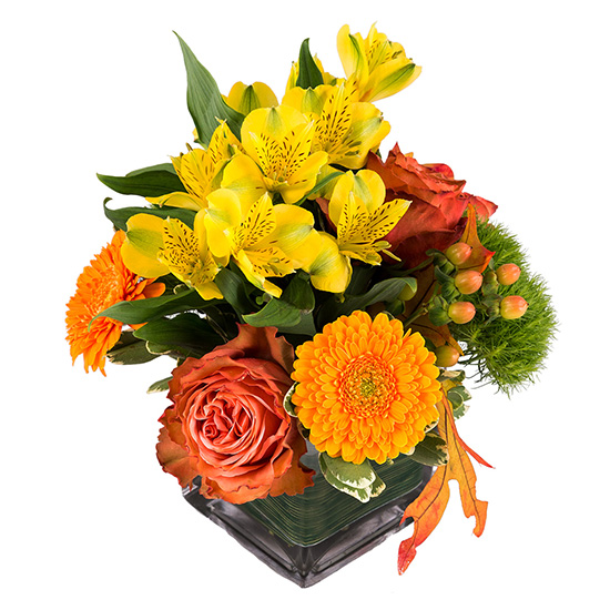 flower shop photo shoot