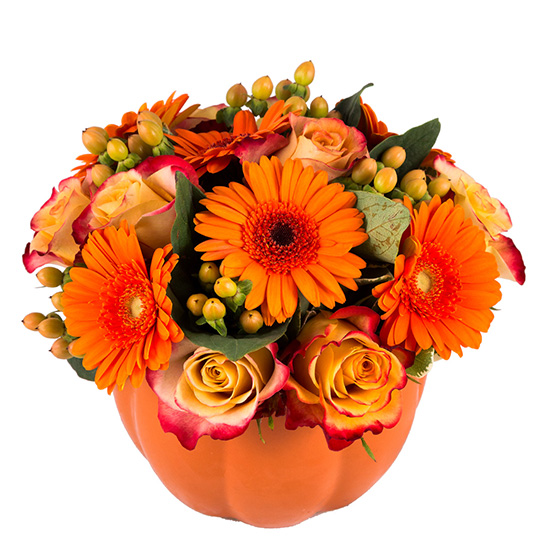 flower shop photo shoot