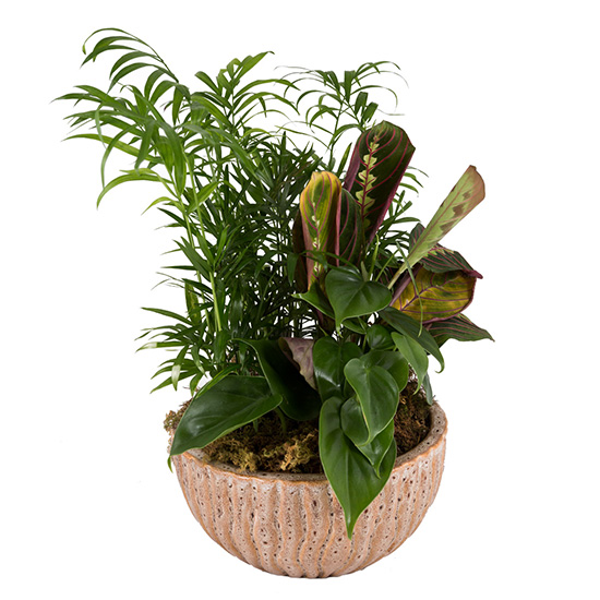 flower shop photo shoot