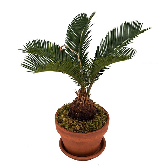 flower shop photo shoot